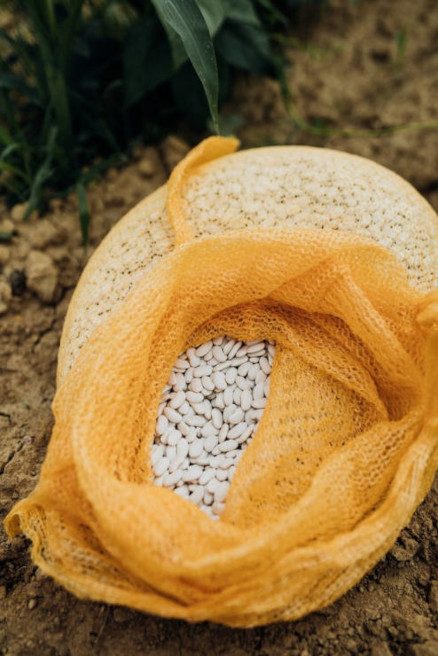 Sac de Haricots-Maïs du Béarn