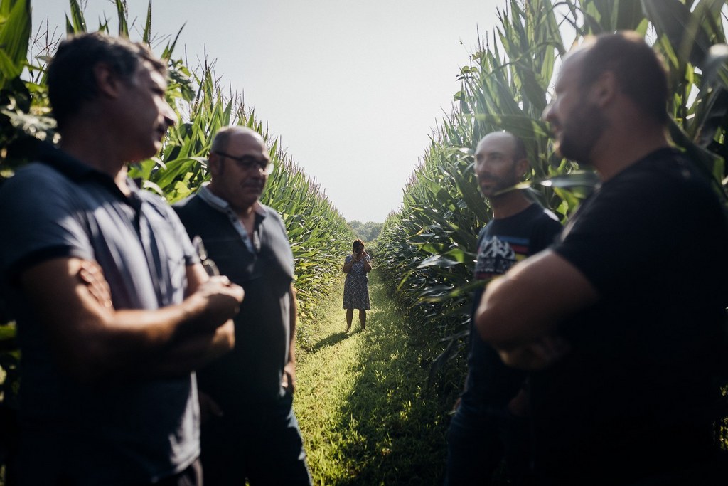 Producteurs de Haricots-Maïs du Béarn